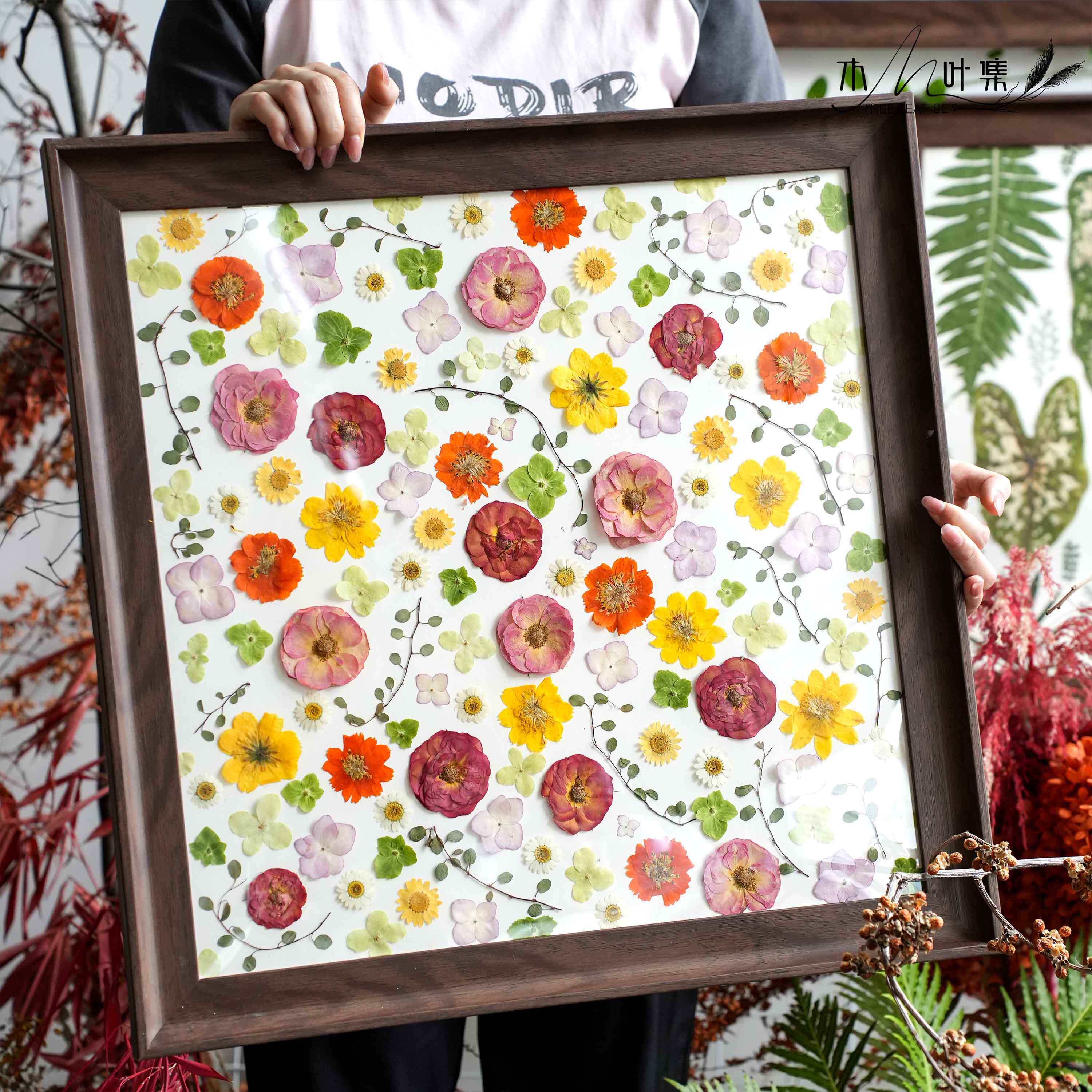 Botanical Pressed Flower Wall Art Frame