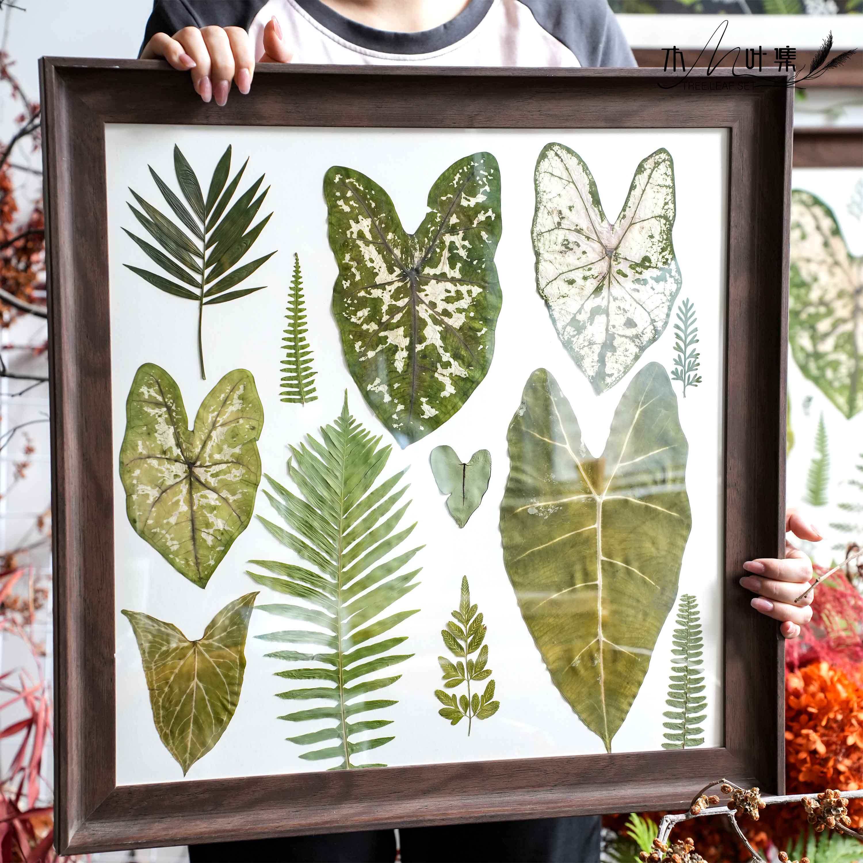 Botanical Pressed Flower Wall Art Frame