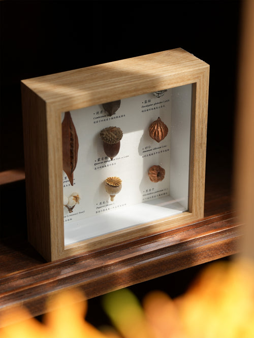 Botanical Specimen Photo Frame