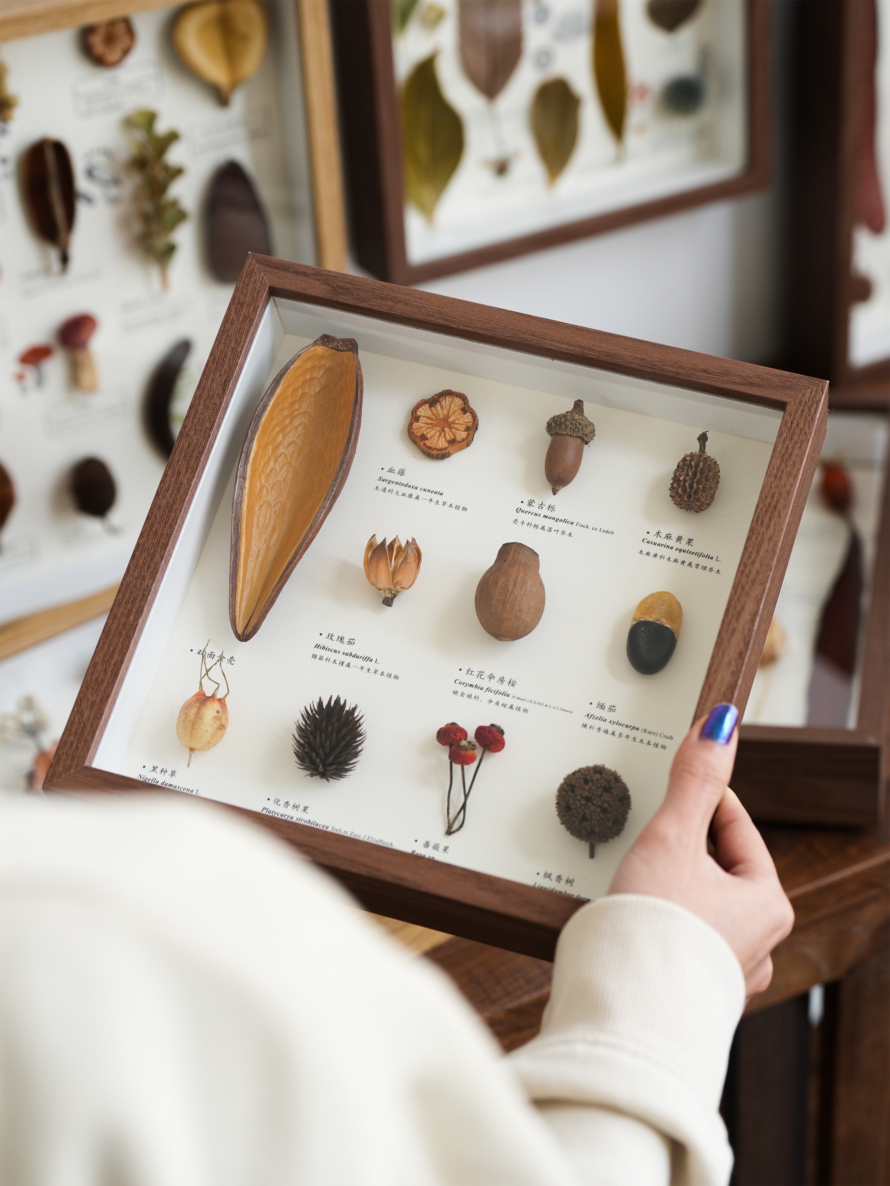 Botanical Specimen Photo Frame