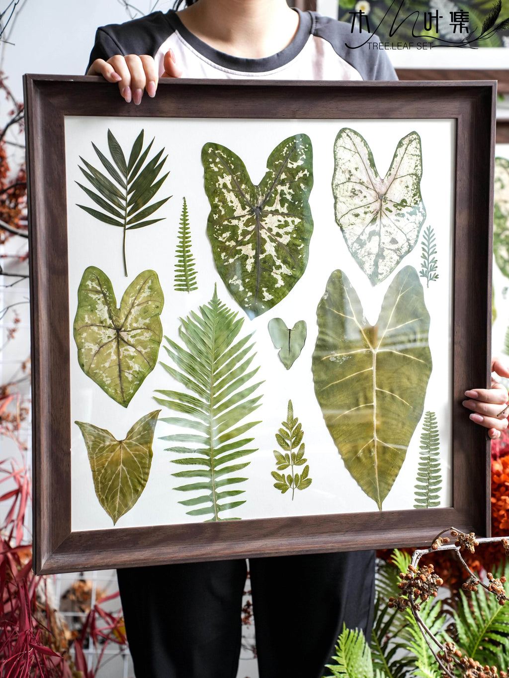 Botanical Pressed Flower Wall Art Frame