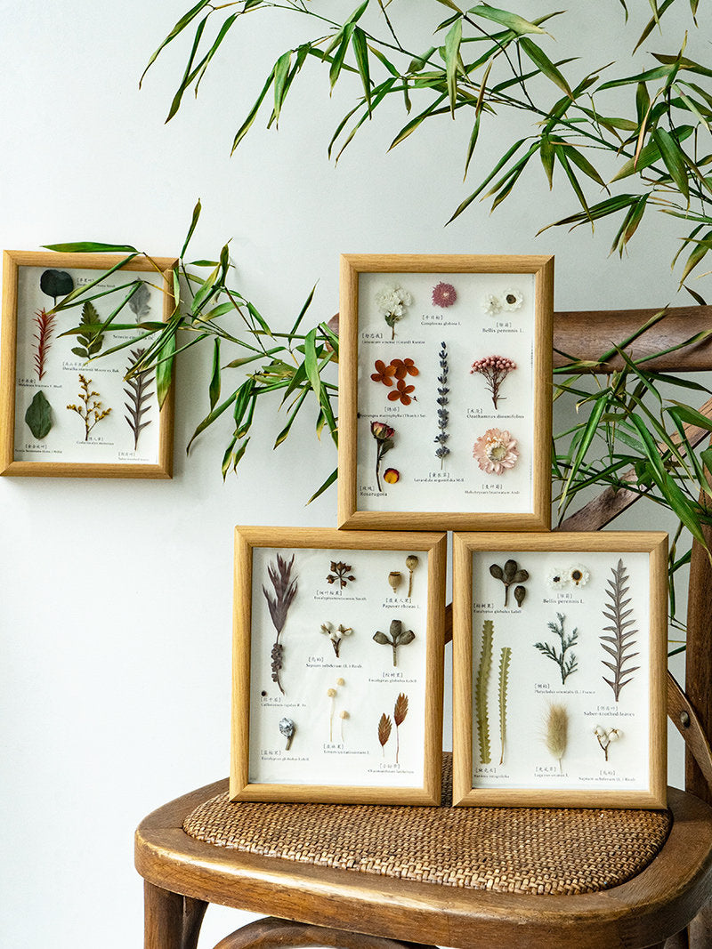 Vintage Preserved Botanical Specimen Frame