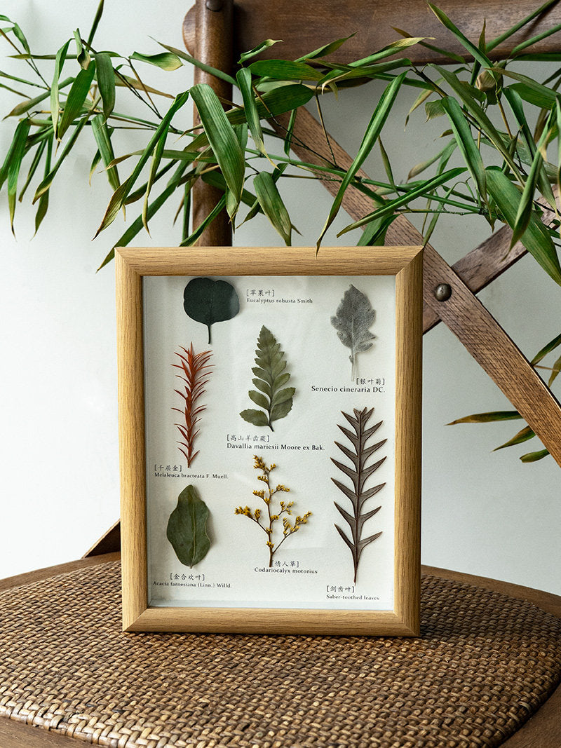 Vintage Preserved Botanical Specimen Frame