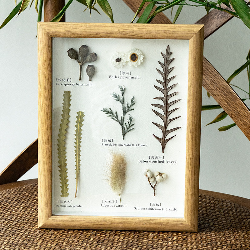 Vintage Preserved Botanical Specimen Frame