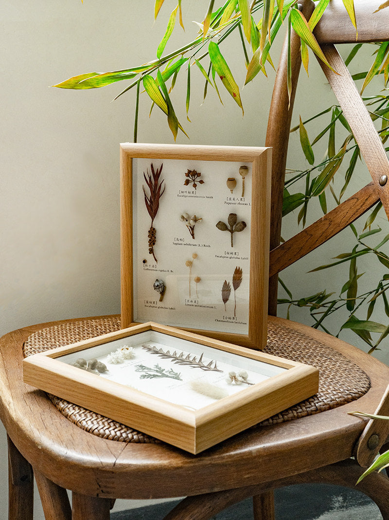 Vintage Preserved Botanical Specimen Frame